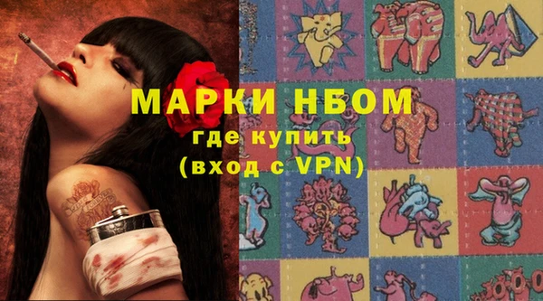 хмурый Вяземский