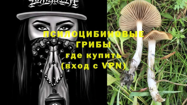 хмурый Вяземский