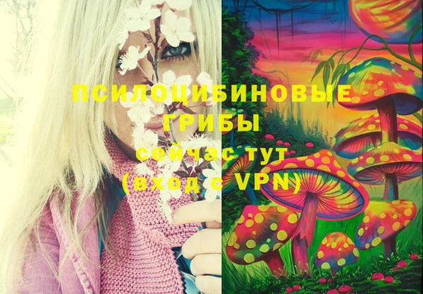 прущая мука Вязьма