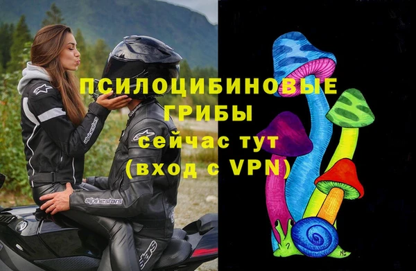 ECSTASY Вязники