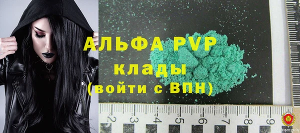 хмурый Вяземский