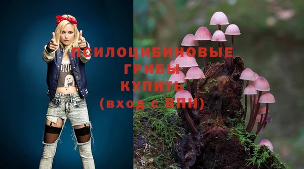 ECSTASY Вязники